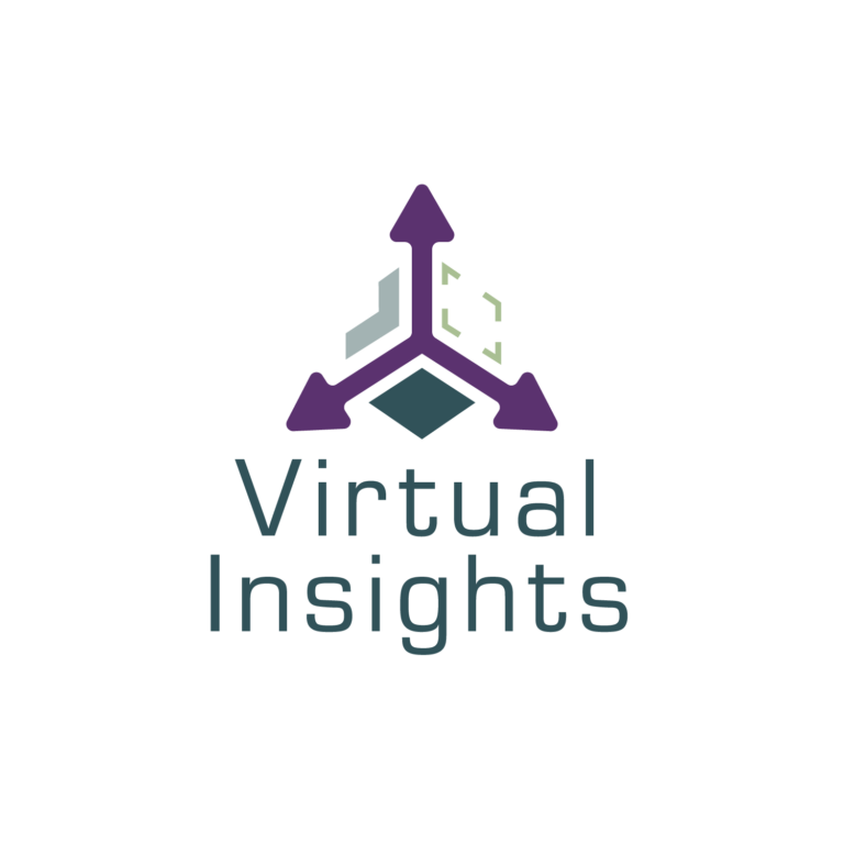 Virtual Insights Brand Identity